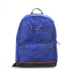 کوله پشتی لپ تاپ دلسی مدل AMUSANT کد 3721600 مناسب برای لپ تاپ 13 اینچی