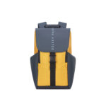 کوله پشتی لپ تاپ دلسی مدل SECURFLAP  کد 2020610 مناسب برای لپ تاپ 15 اینچی