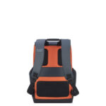 کوله پشتی لپ تاپ دلسی مدل SECURFLAP  کد 2020610 مناسب برای لپ تاپ 15 اینچی